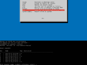 grub restauration timeshift
