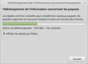 Téléchargement des mises à jour vers Linux 18.3