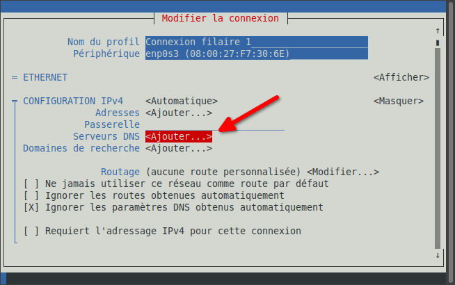 Changer DNS Linux Mint en CLI avec nmtui - 4