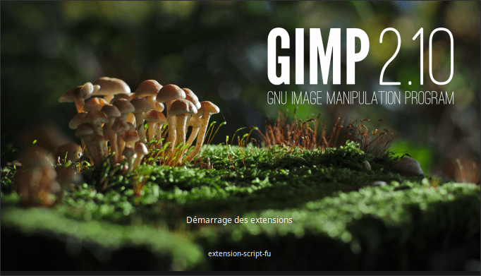 Lancement de GIMP 2.10