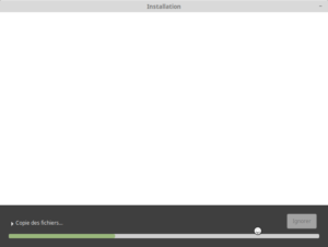 Installation de Linux Mint 19.1  Installation-linux-mint-19-8-copie-fichier-300x226