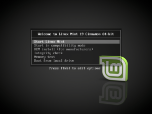 Menu de démarrage lors du boot sur USB d'installation de Linux Mint 19