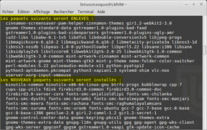 mintupgrade check - Rapport des paquets supprimés