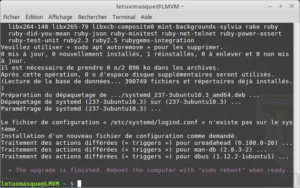 Fin de la mise à jour vers Linux Mint 19