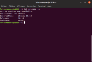 lsb_release Ubuntu 18.10