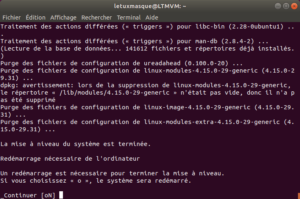 Mise à niveau vers Ubuntu 18-10 en ligne de commande - 5 - fin