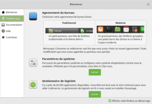 Option pour changer le thème dans le panneau d'accueil de Linux Mint 19