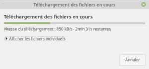 Téléchargement des fichiers en cours