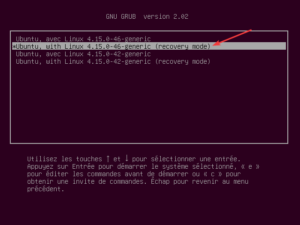 ubuntu grub option avancee