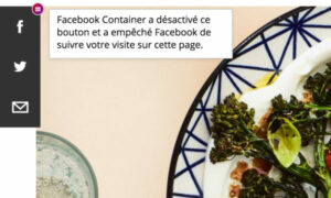 badge Facebook container sur bouton partage