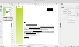 document PDF caviardé