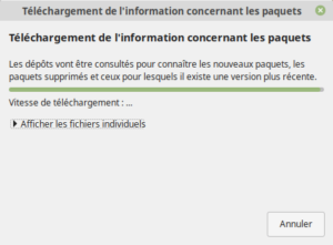 Téléchargement des infos pour la mise à jour vers Linux Mint 19.2