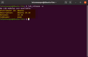 Info version Ubuntu en ligne de commande