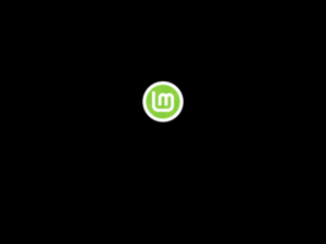 écran de démarrage Linux Mint 19.3