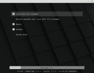 GRUB Linux Mint 19.3