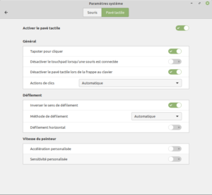 paramètres pavé tactile dans Linux Mint 19.3