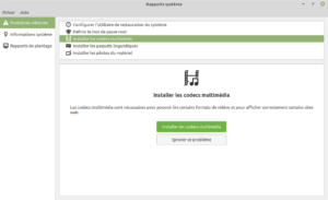 Rapports système Linux Mint 19.3