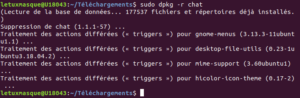 dpkg - désinstaller paquet