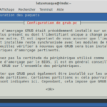 4 - Mettre à niveau vers LMDE 4 - Configuration GRUB 1