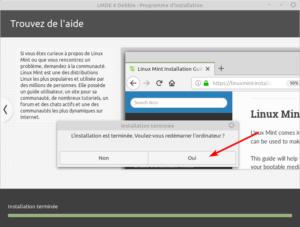 fin installation lmde 4