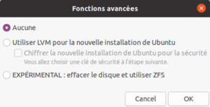 installation ubuntu 20.04 - type installation - fonctions avancées