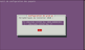 choix de l'emplacement de GRUB