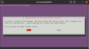ttf-mscorefonts-installer accept licence eula
