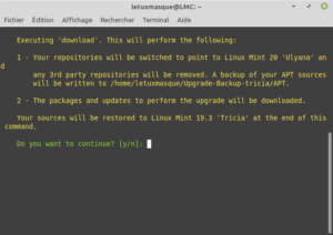 Confirmer le téléchargement des paquets pour la mise à niveau vers Linux Mint 20
