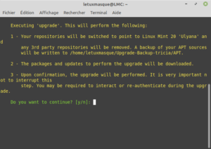 Confirmer pour mettre à niveau vers Linux Mint 20