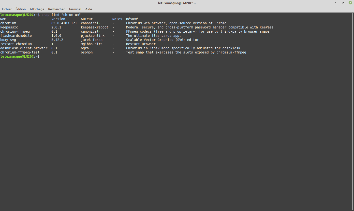 Exemple snap find "chromium"