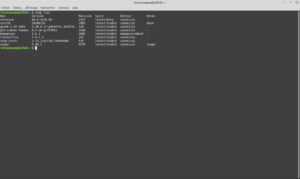 Exemple commande : snap list