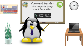 Comment installer des paquets snap sur Linux Mint ?