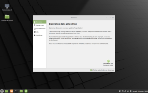 Bienvenue dans Linux Mint 20.1