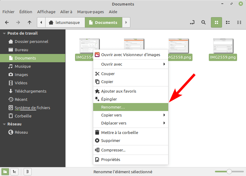 Linux Mint 20.2 - Renommer en masse