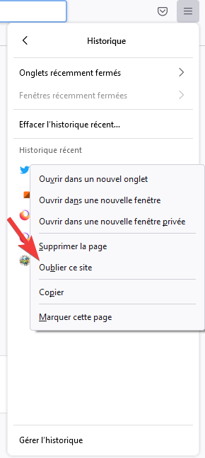 Oublier ce site