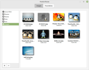 Linux Mint Cinnamon - images du dossier personnel images