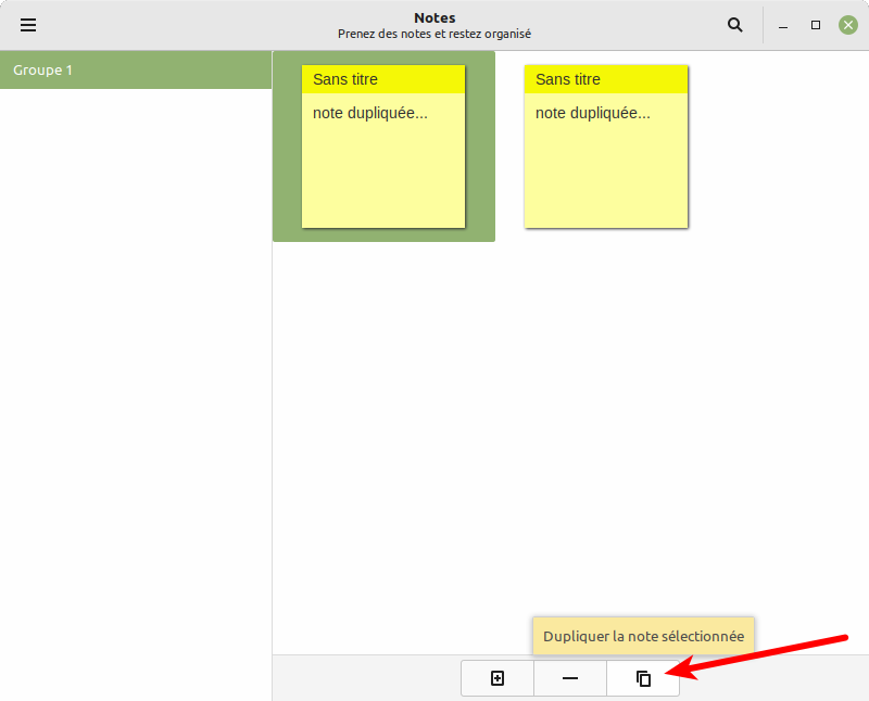 Linux Mint 21 - sticky notes duplicate