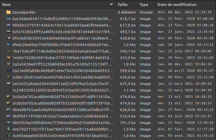 Cinnamon 5.6 - Nemo - dates