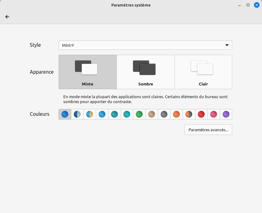 LMDE 6 “Faye” - cinnamon 5.8 - themes 1