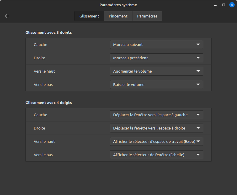 Cinnamon 5.8 Paramètres des interfaces gestuelles 1