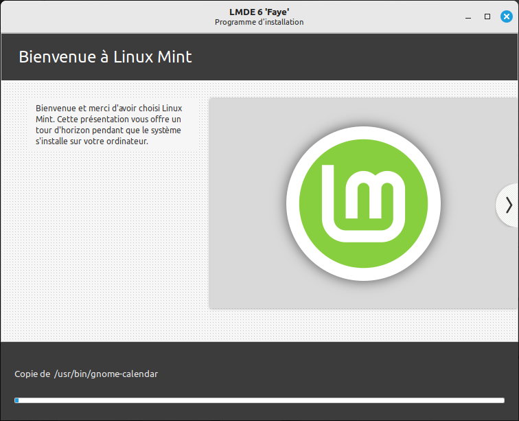 Installation de LMDE 6 en cours