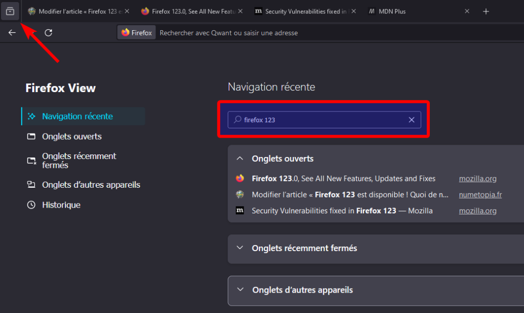 Recherche dans Firefox View
